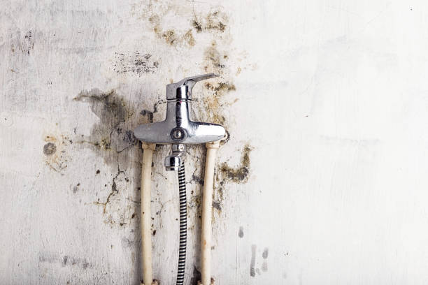 Trusted Woodbury Center, CT Mold Removal Experts