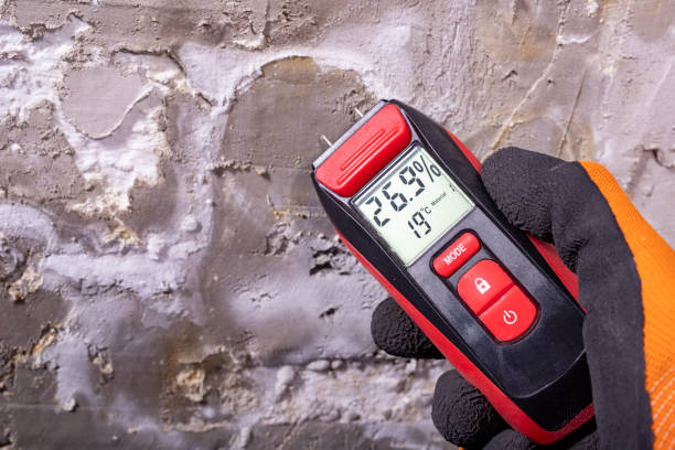 Crawl Space Mold Removal in Woodbury Center, CT