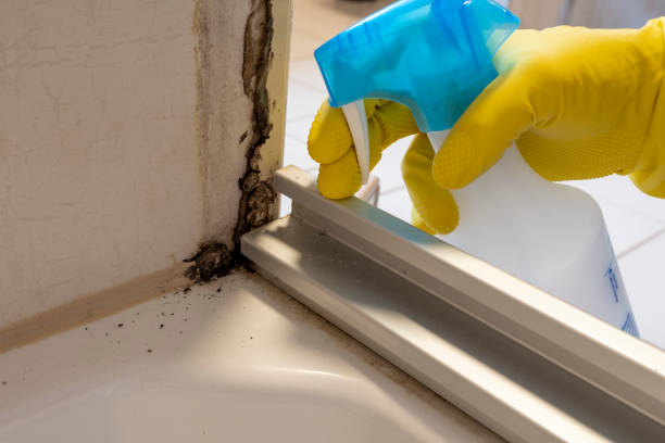 Best Water Damage Restoration  in Woodbury Center, CT