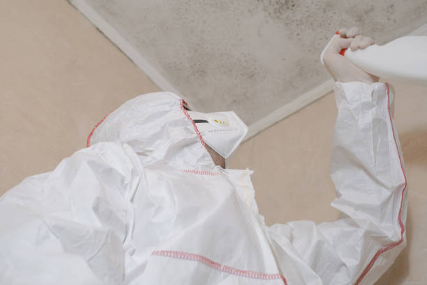 Best Emergency Mold Removal  in Woodbury Center, CT