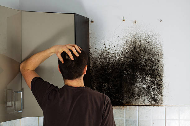 Best Crawl Space Mold Removal  in Woodbury Center, CT